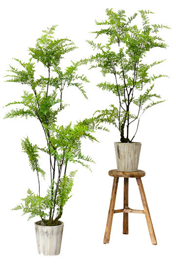 |西安装修公司| 建筑师夫妇的妙笔生花， 老房搭出清新文艺范