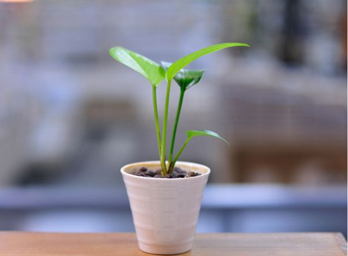 10个房屋装修常识