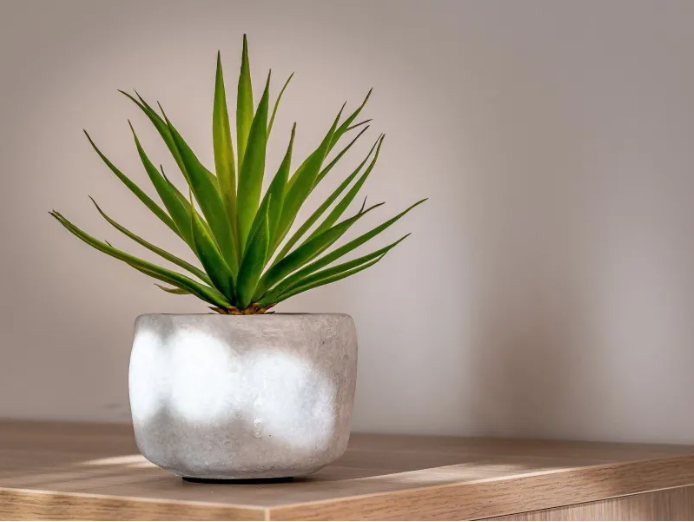 家居风水的“阴阳平衡”，旺财又旺人