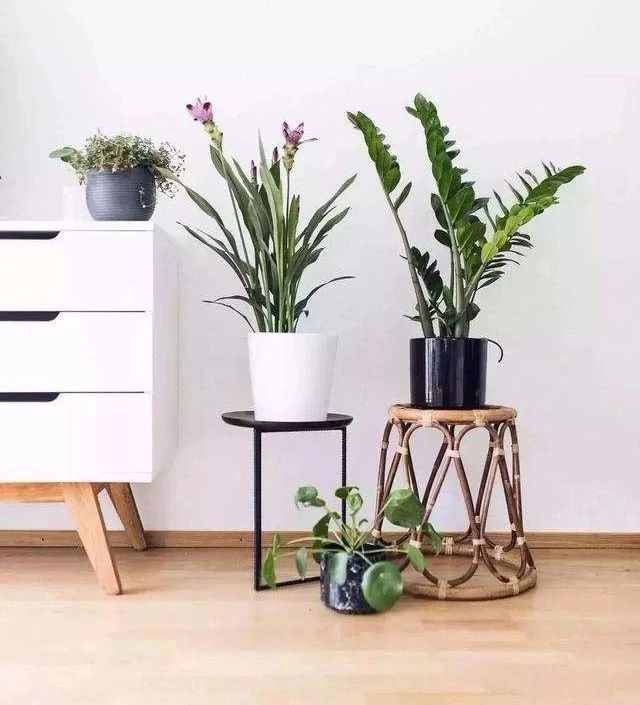 你了解的这些装修知识，居然是错的！