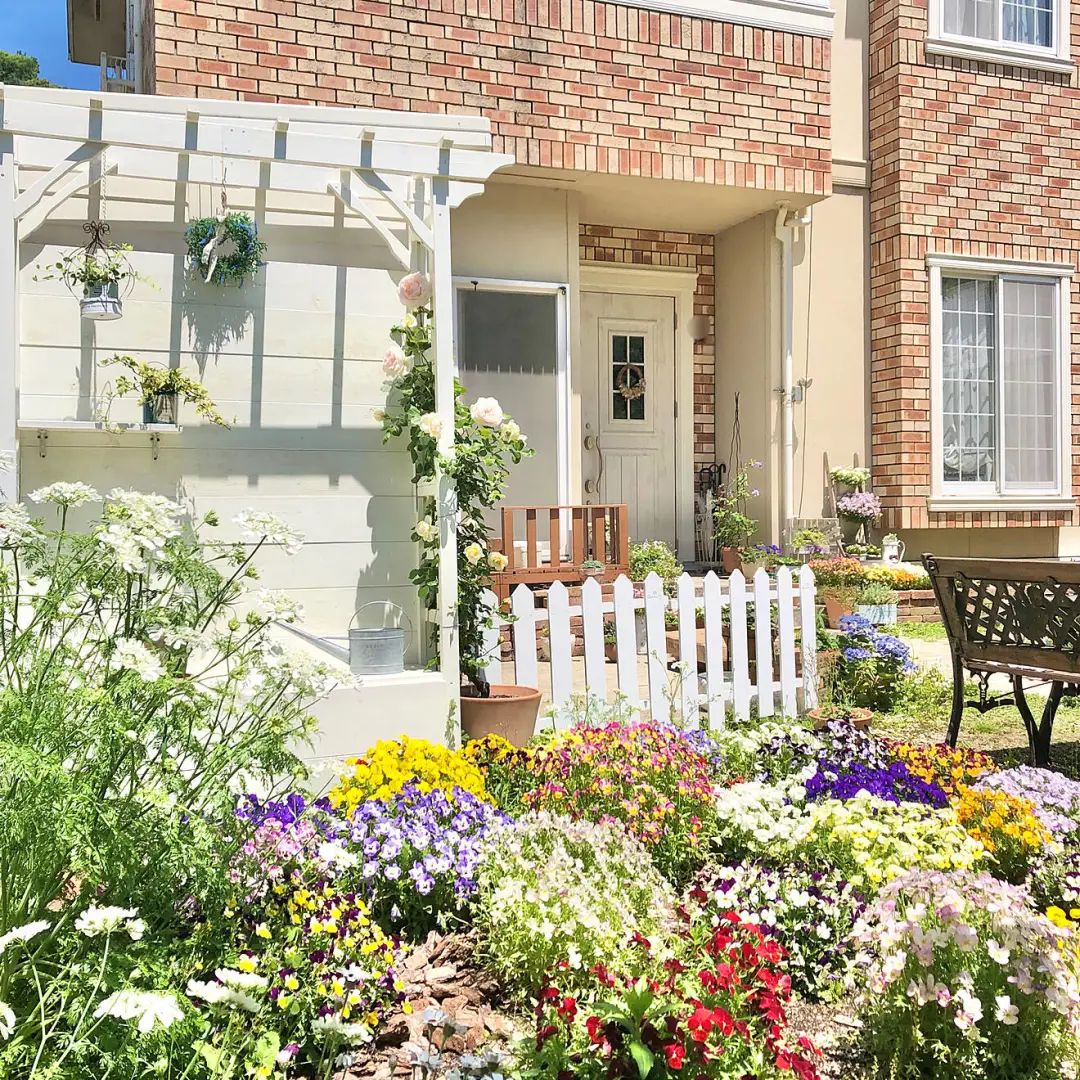 学习日本人5个绿植搭配家居技巧，美爆了