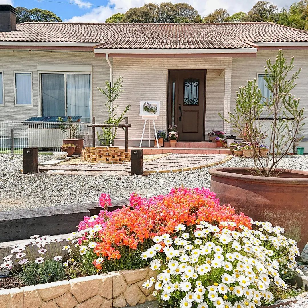 学习日本人5个绿植搭配家居技巧，美爆了