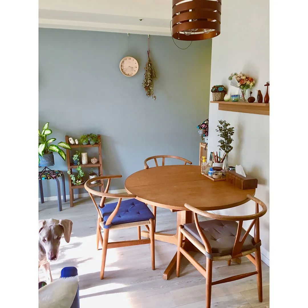 学习日本人5个绿植搭配家居技巧，美爆了