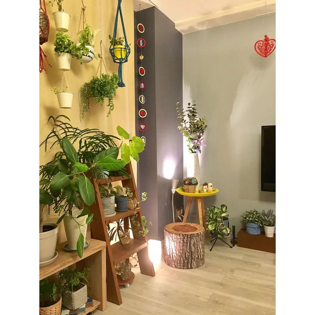 学习日本人5个绿植搭配家居技巧，美爆了