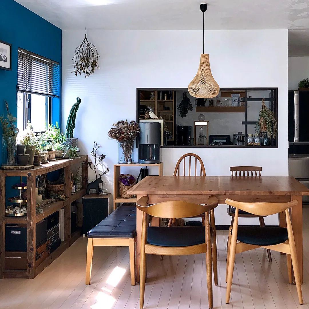 学习日本人5个绿植搭配家居技巧，美爆了