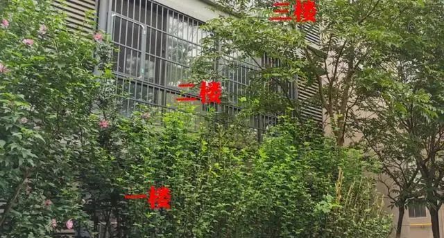 掌握这几点，即使采光差也不是问题！