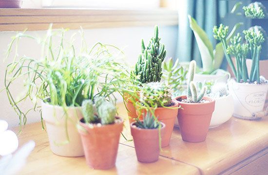 |西安装修公司| 建筑师夫妇的妙笔生花， 老房搭出清新文艺范