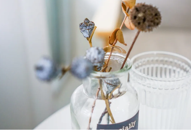 家居风水五大诀窍，让你下半年旺到底！